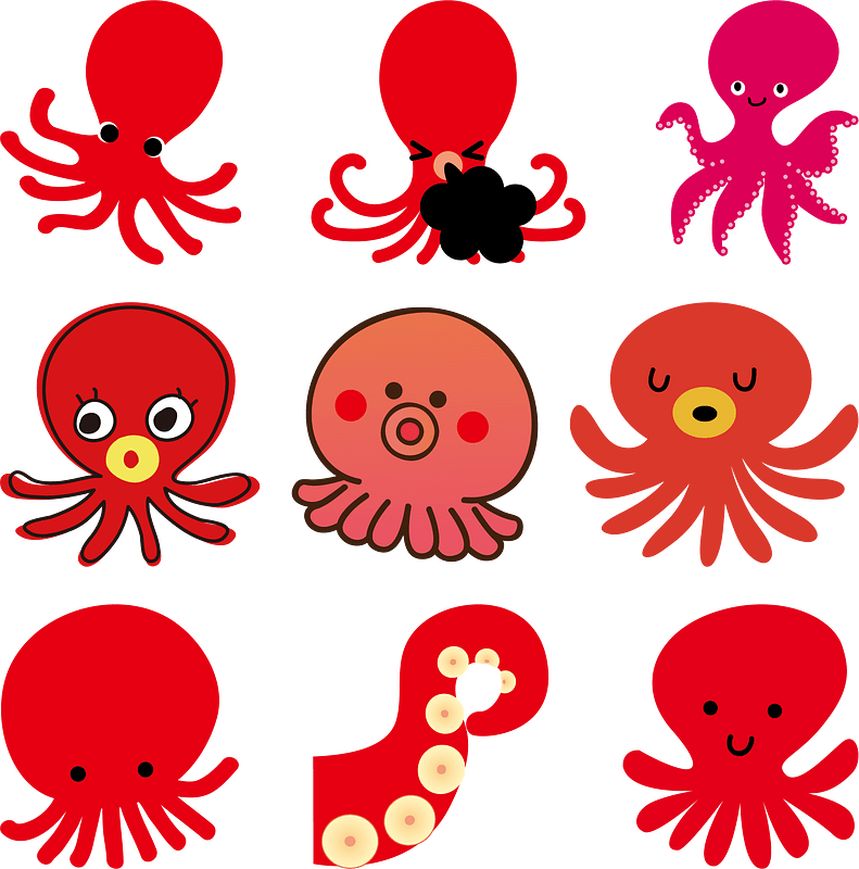 Octopus Animal