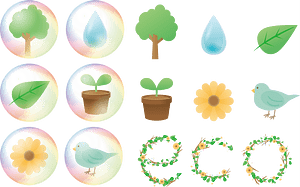 Ecology Plant