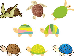 Turtle Animal