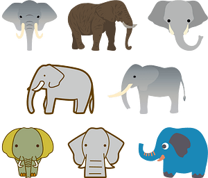 Elephant Animal