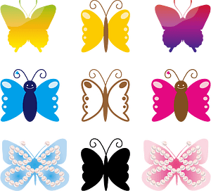 Butterfly Insect