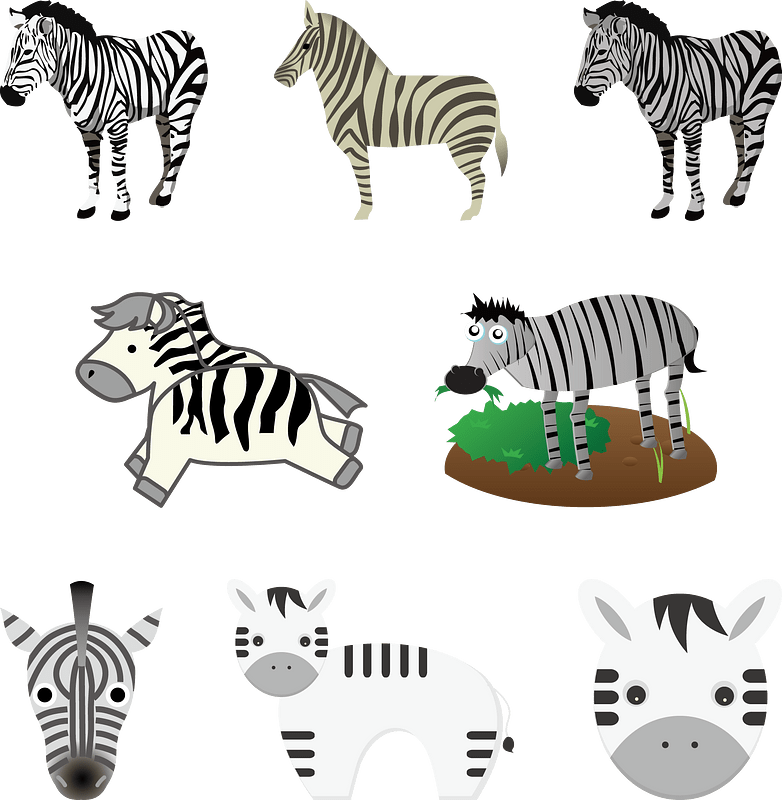 Zebra Animal