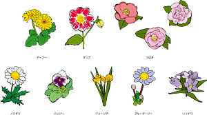 Flower Set