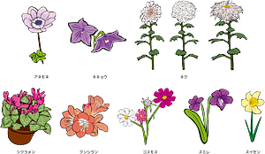 Flower Set
