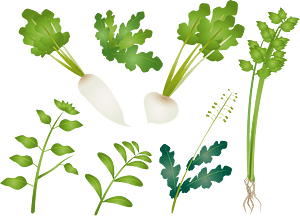 Seven Spring Flowers