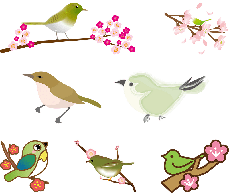 Japanese Bush Warbler
