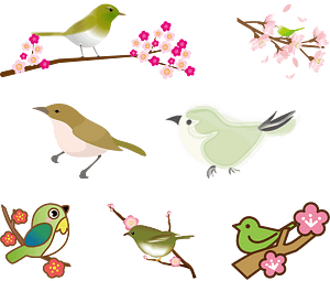 Japanese Bush Warbler