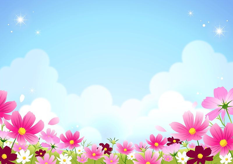 Cosmos Field