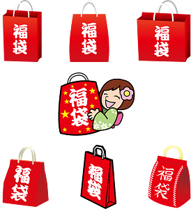 Fukubukuro New Year
