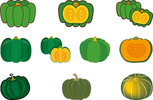 Kabocha Squash Vegetable
