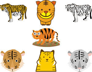 Tiger Animal
