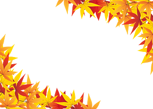 Maple Frame