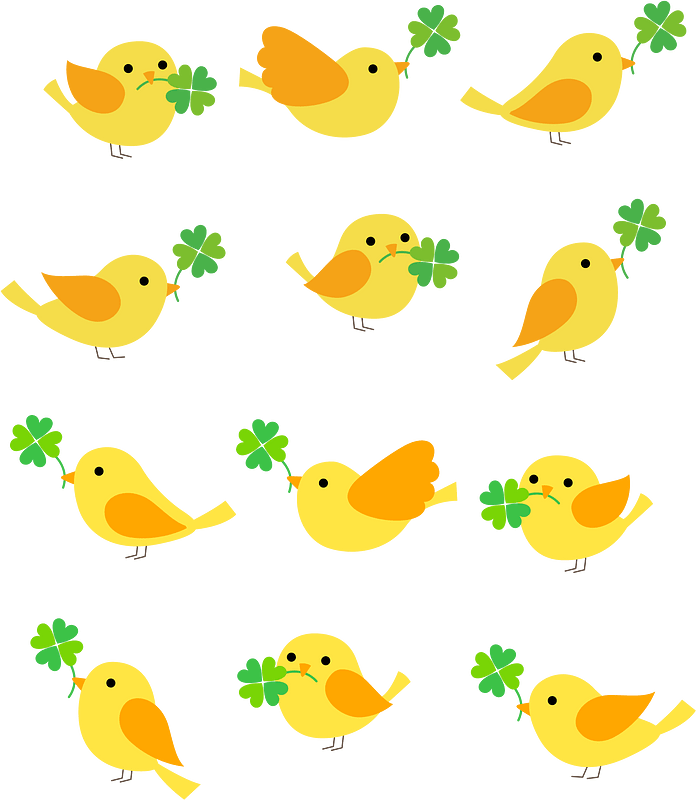 Bird Clover