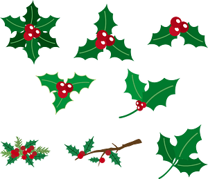Christmas Holly