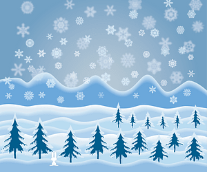 Snow Winter