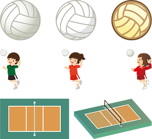 Volleyball Sports