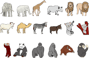 Animal Mammal