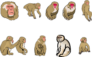 Japanese Monkey