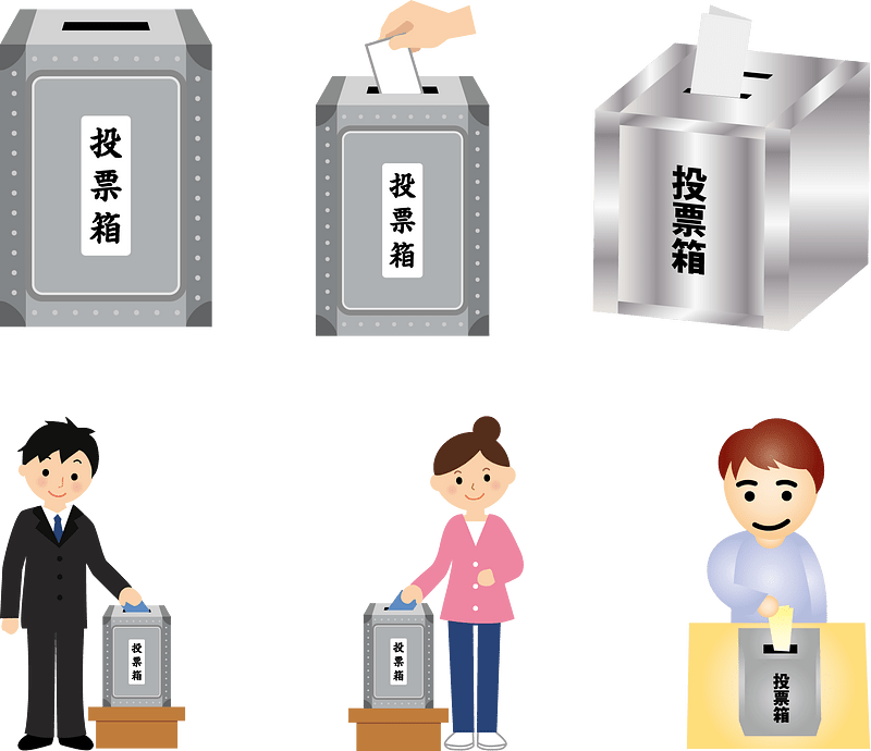 Election Voting