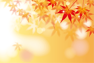 Maple Autumn