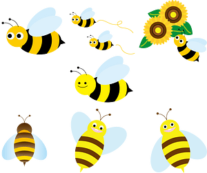 Honey Bee