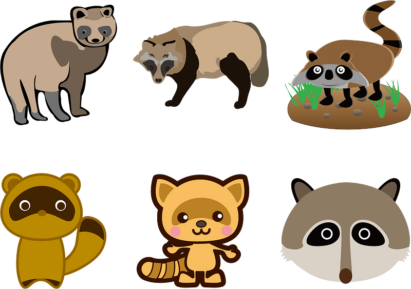 Raccoon Dog Animal