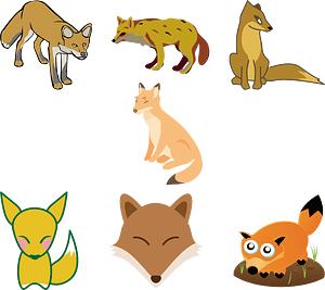 Fox Animal