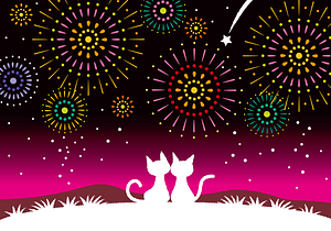 Cat Fireworks
