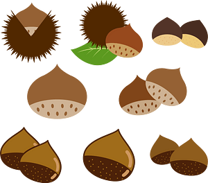 Chestnut Autumn