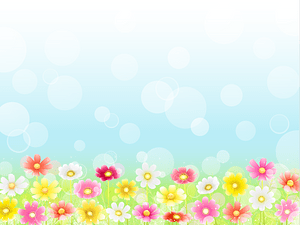 Cosmos Flower