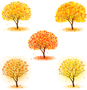 Tree Autumn