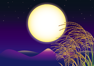 Moon Silver Grass