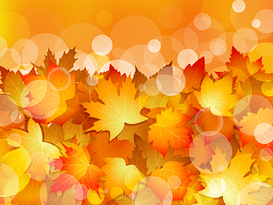 Maple Autumn