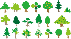 Tree Nature