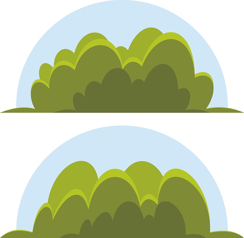 Bushes