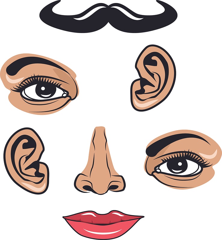 Face parts