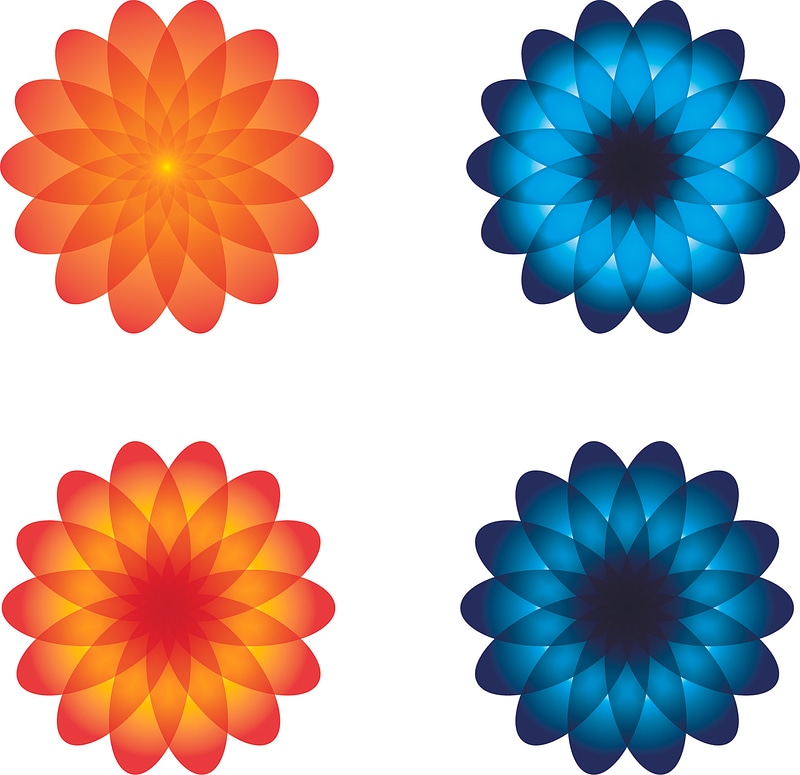 Flowers blue orange