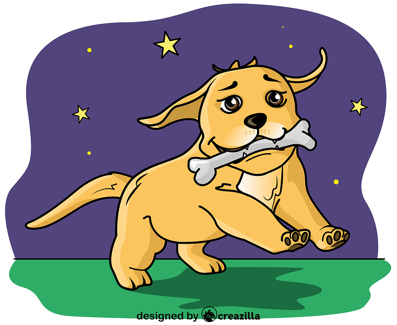 Golden Retriever Puppy