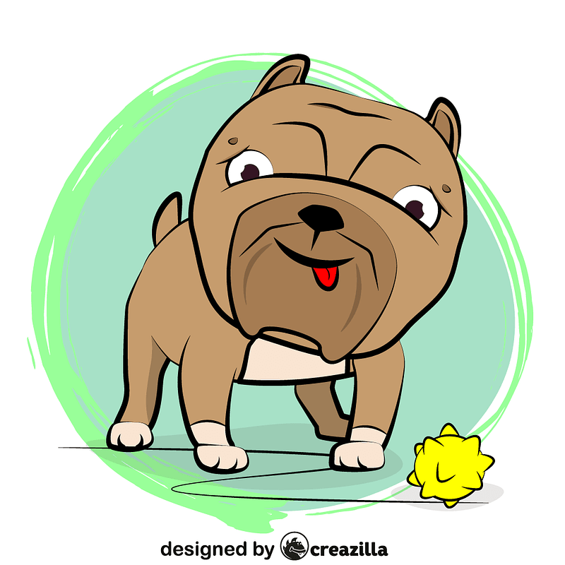 American Pitbull Puppy