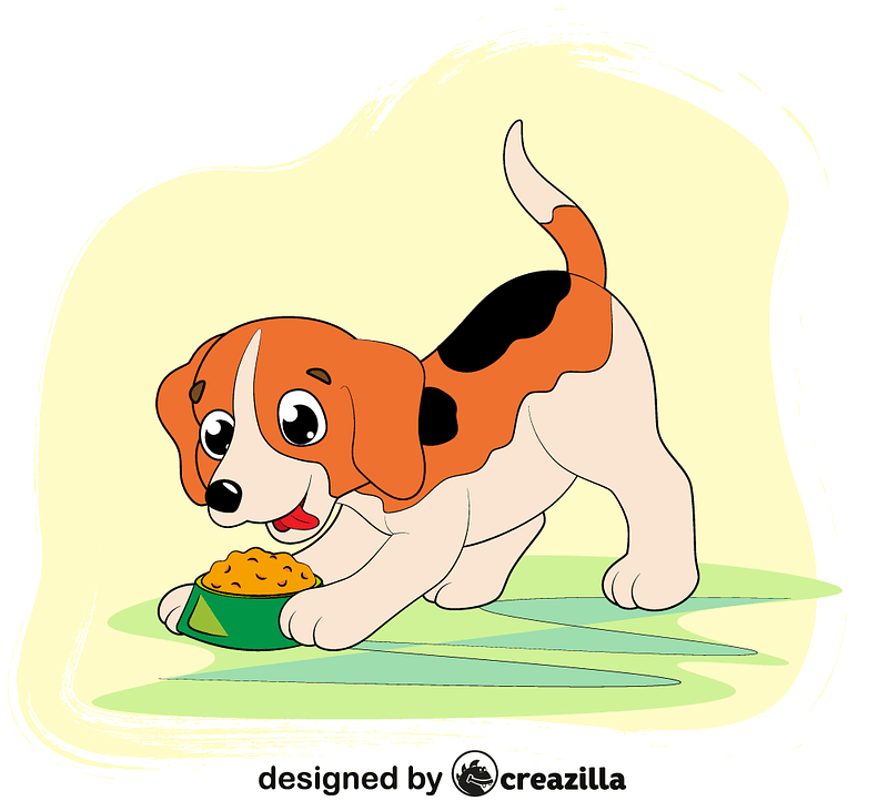 Beagle Puppy