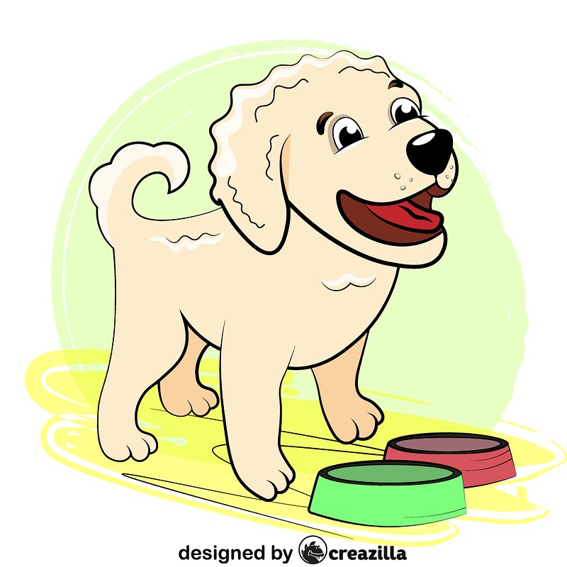 Golden Retriever Puppy