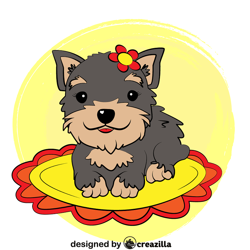 Morkie Puppy
