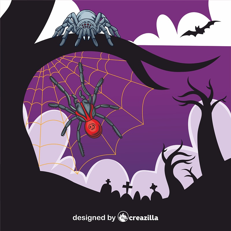Spider