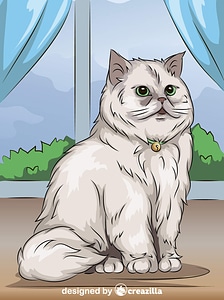 Persian Cat