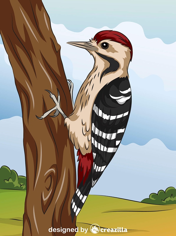 Fulvous Breasted Woodpecker