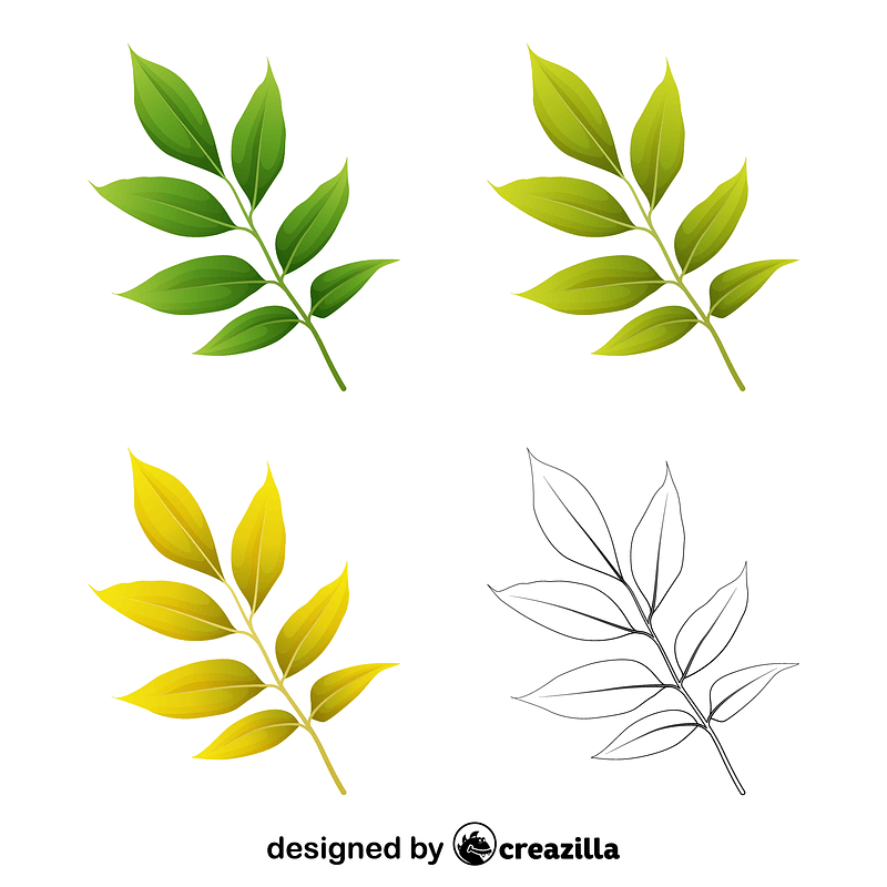 Arizona ash leaves