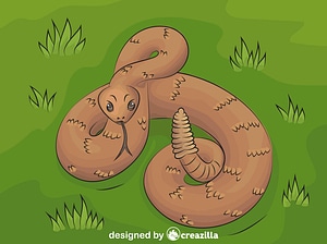 Rattlesnake