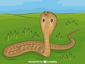 King Cobra