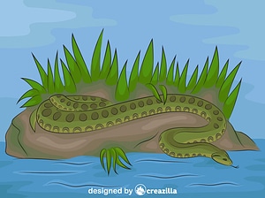 Anaconda