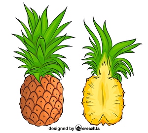 Pineapple Cut in Half